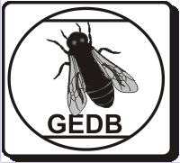 Logo der GEDB